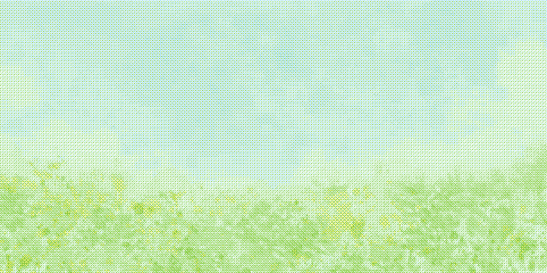 Facebook post image
